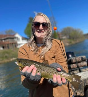 Trout Fishing in MO